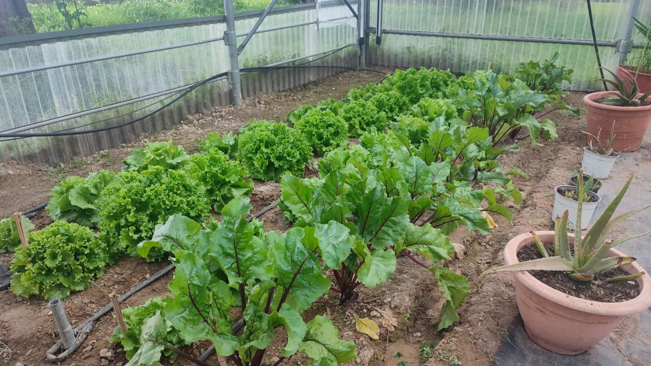 Εργαστήριο Γεωπονίας